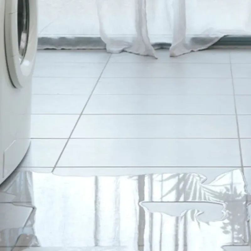 Appliance Leak Cleanup in Three Lakes, FL