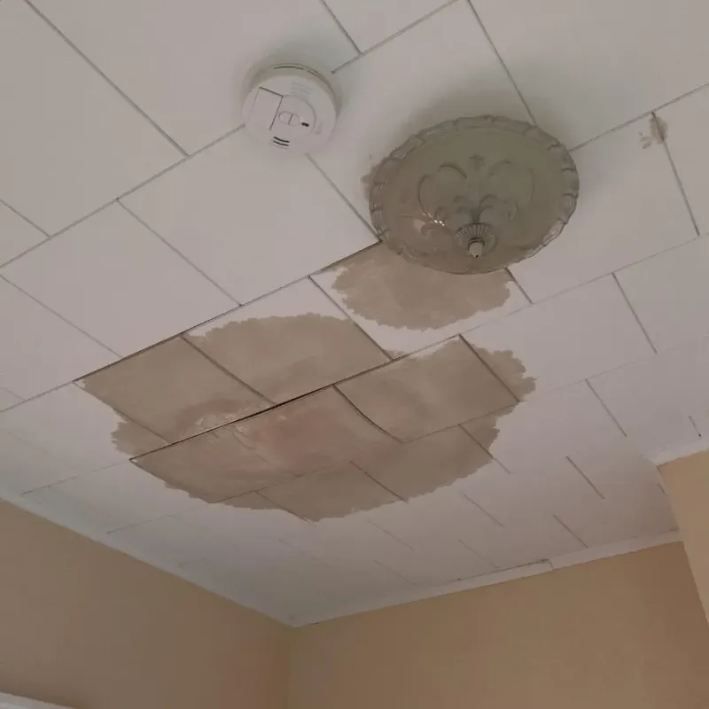 Ceiling Water Damage Repair in Three Lakes, FL