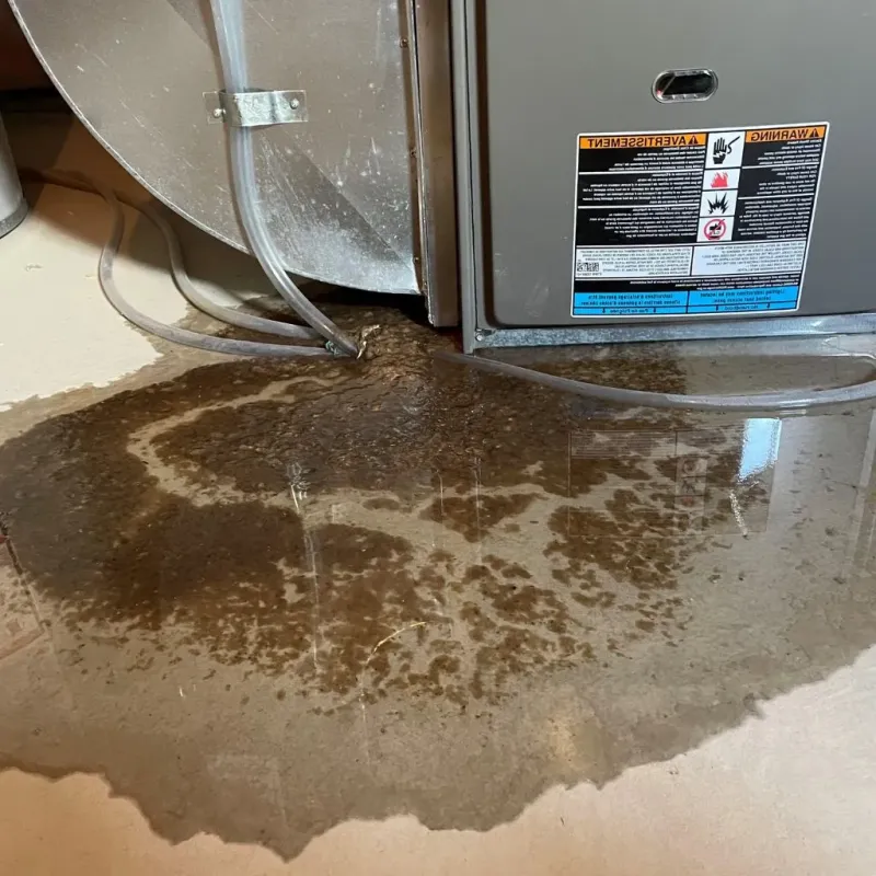 Pipe Burst and Leak Restoration in Three Lakes, FL